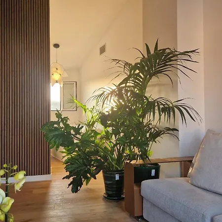 Luxe - New - Centre - 100m2 - Full Clim - 3bdr - 3bthr - 3wc - Pkg Apartment *