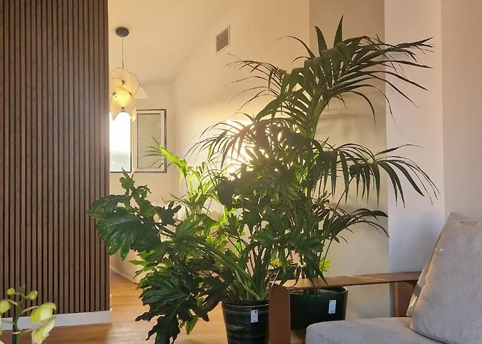 Luxe - New - Centre - 100m2 - Full Clim - 3bdr - 3bthr - 3wc - Pkg 公寓 *